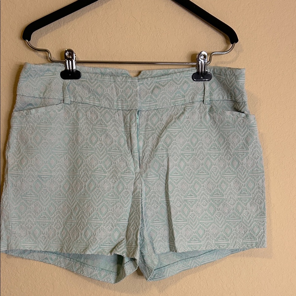 Soho Apparel Mint-Pattern High Waist Shorts
Size 12